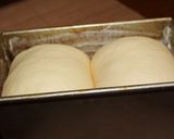 白神こだま酵母で！山食作り方8写真