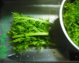 ちりめんじゃことわさび菜のパスタ♪作り方1写真