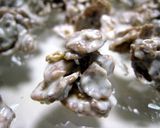 お急ぎバレンタインのコーンフレークチョコ作り方4写真