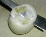かぶの水煮酢味噌作り方5写真