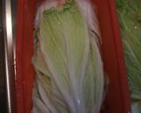 白菜と挽肉とチーズのミルフィーユ仕立て♪作り方10写真