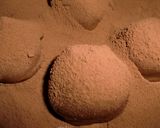 大人のトリュフチョコ　ココア編作り方4写真