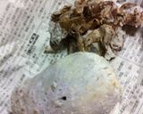簡単...丼で...海老芋の煮物作り方7写真