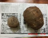 赤目芋と薄揚げの煮物作り方1写真