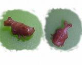 キャラ弁☆ウインナーでカブトムシ作り方7写真