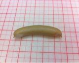 お弁当に♪ブリッジウインナー作り方1写真
