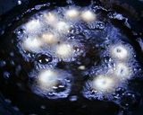 ケーパースin☆ブラックオリーブのフライ作り方4写真