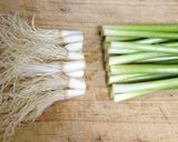 【醤油ベース薬念で簡単】ネギキムチ作り方1写真
