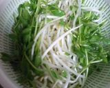 ☆超節約☆豆苗ともやしの豚肉巻き作り方2写真