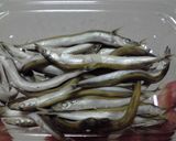 かますご（いかなご）の天ぷら作り方1写真