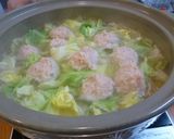 スープが美味しい簡単♪*豆腐鶏だんご鍋*作り方4写真