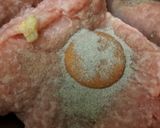 ☆鶏ミンチロールキャベツ☆餡掛け風だし汁作り方2写真
