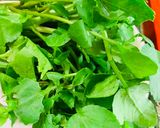 美タミン野菜クレソンのサンドイッチ♡作り方2写真