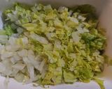 残り野菜を使って　我が家の白菜ギョウザ作り方1写真