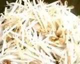 鶏肉ともやし炒め作り方4写真