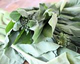 中国野菜カイランと豚肉のオイスター炒め作り方7写真