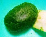 抹茶☆スノーボール作り方3写真