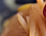 豆もやしとえのきのピリ辛炒め作り方1写真