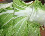 とろとろ❤白菜と豆乳の煮込み作り方1写真
