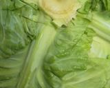 野菜たっぷりのふんわりロールキャベツ♪作り方1写真