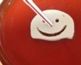 ひな祭りに、かまぼこアートでシンプルに作り方3写真
