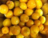 金柑甘露煮(喉風邪対策:冬)作り方1写真