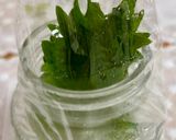 大葉の保存方法♪作り方3写真