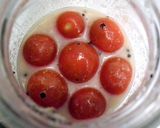 トマトの塩麹漬けでチーズサラダ作り方4写真