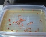 昔ながらの小アジの南蛮漬け作り方1写真