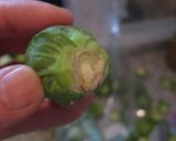 *芽キャベツとベーコン炒め*作り方1写真