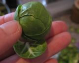 *芽キャベツとベーコン炒め*作り方3写真