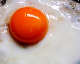 半熟目玉焼きのてりやき。作り方6写真