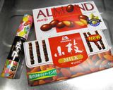 3D立体＊チョコのハリネズミ ケーキ♪作り方17写真