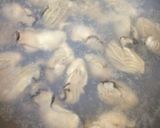 牡蠣と法蓮草のオイスターソース炒め作り方2写真