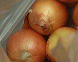 煮込みたまねぎ作り方1写真