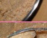 すごくおいしいダイエット！ダイエッター用やわらか鶏団子作り方4写真