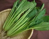 4分で♪料亭風 青菜の煮浸し〜七味の香り作り方2写真