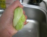 私はこれで5kg痩せた!生春巻き♪作り方1写真