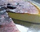 ヨーグルトチーズケーキ作り方19写真