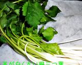 塩麹de三つ葉のお浸し作り方1写真