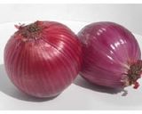 サーモンとカラフル野菜のハーブレモン風味作り方1写真