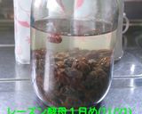 自家製天然酵母パン:まとめ作り方1写真