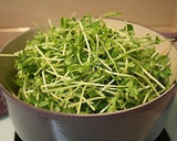 ルクルーゼで豆苗のあっさり蒸し作り方1写真