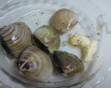 はまぐり☆の酒蒸し作り方3写真