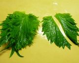 塩麹鶏むね肉☆青じそ巻き天ぷら作り方2写真