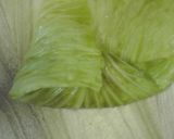 野菜でかさまし！ヘルシー★ロールキャベツ作り方5写真