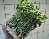 カキと豆苗の簡単中華炒め作り方2写真