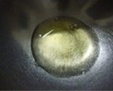 BP無しのほっこりバナナマフィン作り方6写真