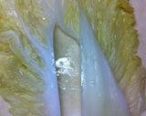 とろ~り白菜のロールキャベツ作り方2写真