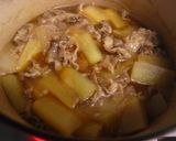 牛肉と大根♪しょうがＤＥ煮物作り方5写真